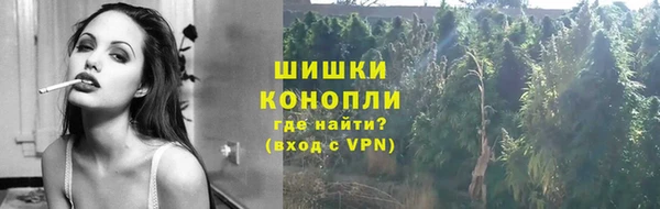 мяу мяу мука Лабытнанги