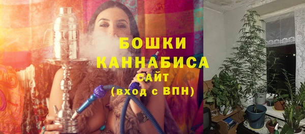 2c-b Ладушкин