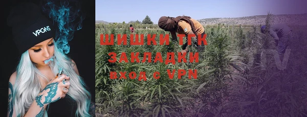 2c-b Ладушкин