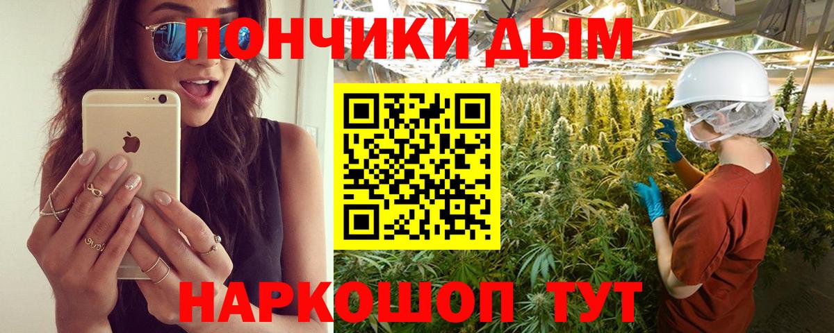 Конопля план Малгобек