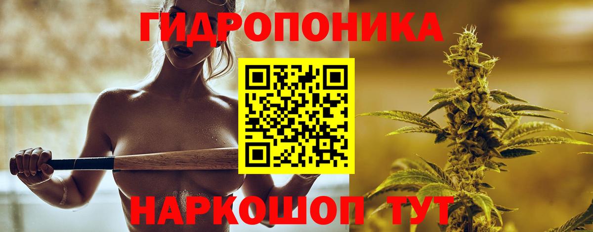 Шишки марихуана MAZAR  МАРИХУАНА гибрид  Шишки марихуана MAZAR  Вход с VPN  Малгобек 